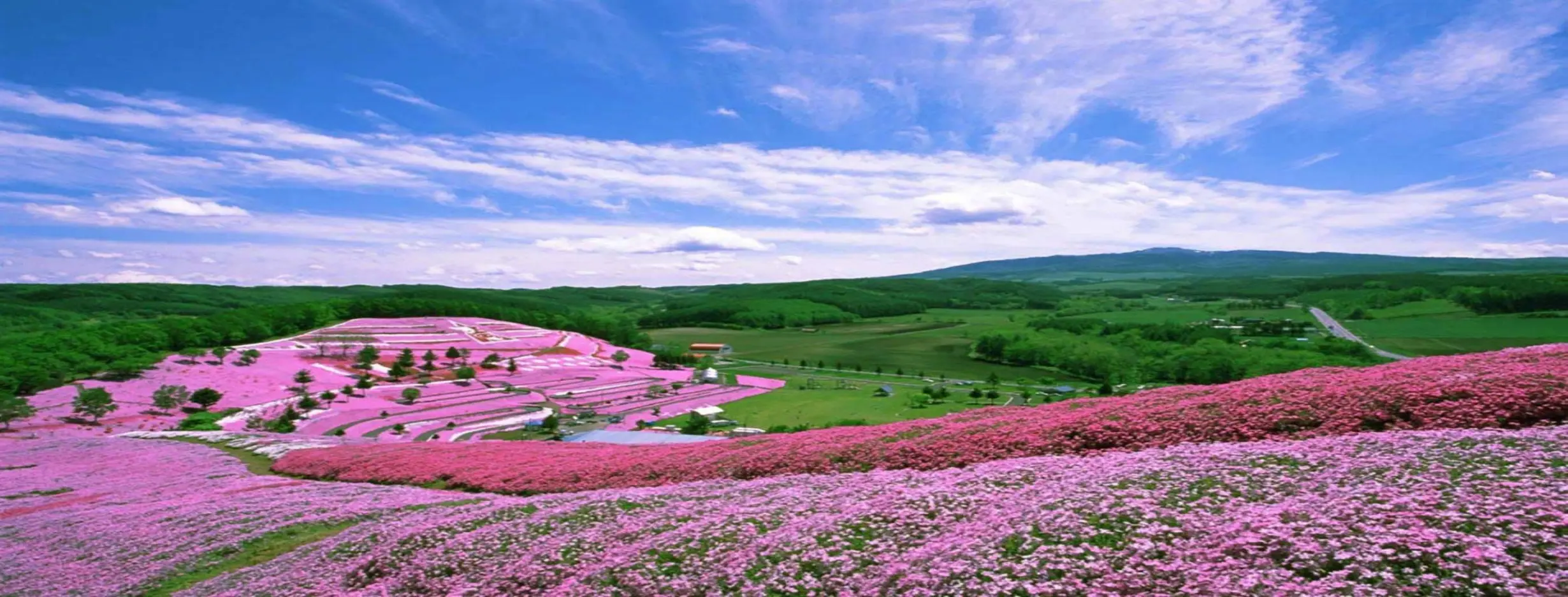 Image for Hokkaido Treasure